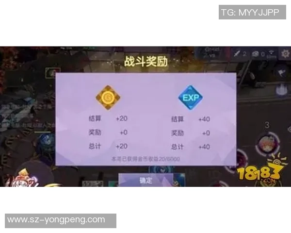 王者荣耀深度分析：EDG战队的游戏意识与战术布局探讨