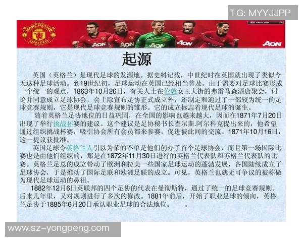 防暴足球的兴起与发展对现代体育安全的影响与启示 防暴足球的兴起与发展对现代体育安全的影响与启示