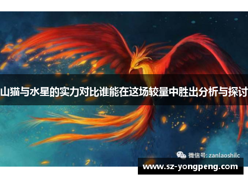 山猫与水星的实力对比谁能在这场较量中胜出分析与探讨