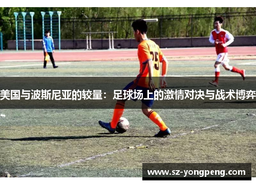 美国与波斯尼亚的较量：足球场上的激情对决与战术博弈