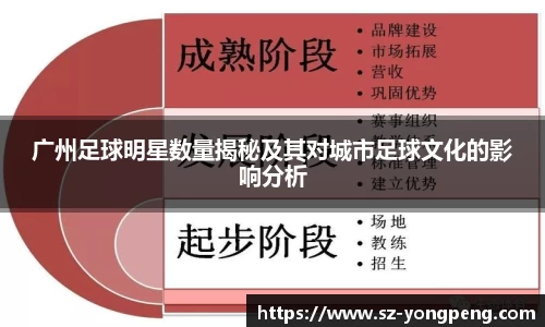 广州足球明星数量揭秘及其对城市足球文化的影响分析