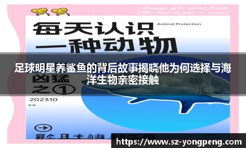 熊猫体育官方网站